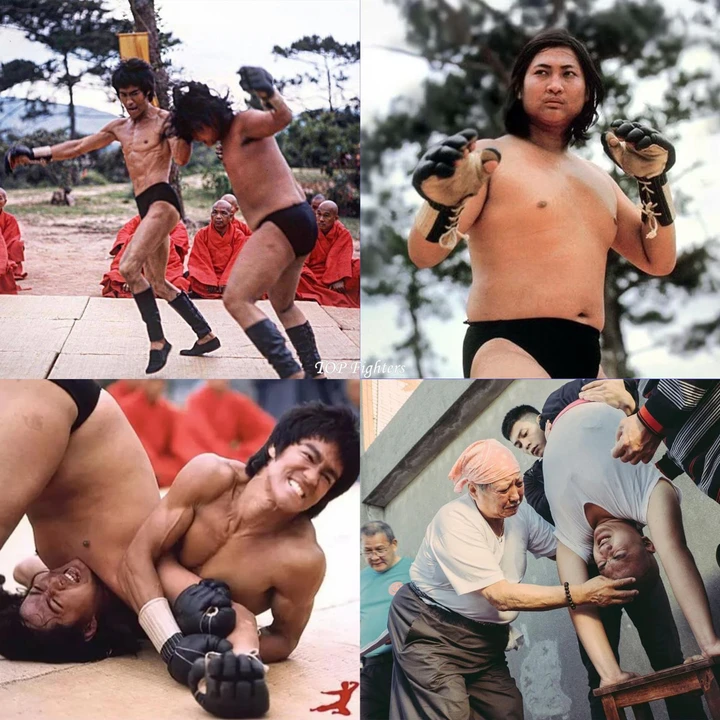 Hồng Kim Bảo tham gia phim Long Tranh Hổ Đấu